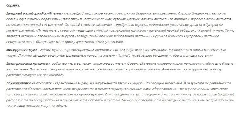 Жителям Тверской области дали рекомендации, как не подхватить трипс