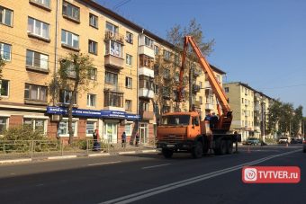 Часть Волоколамского проспекта в Твери перекрыта из-за опасных деревьев