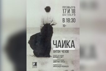 чайка чехов