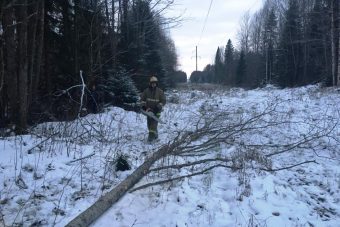 5800 жителям Тверской области восстановили электроснабжение в ночь на 31 октября