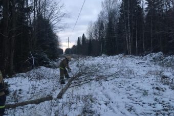 5800 жителям Тверской области восстановили электроснабжение в ночь на 31 октября
