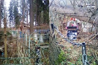 В Кувшинове ночной штормовой ветер повалил деревья на могилы на местном кладбище