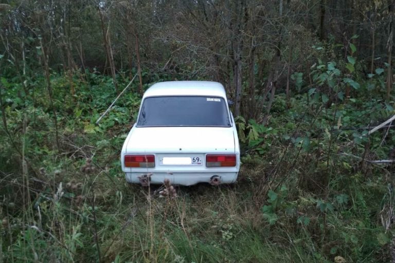 Полицейские нашли авто, сбившее шестилетнего мальчика в Старицком районе