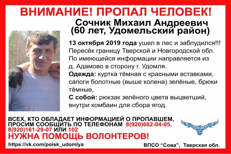 В Тверской области разыскивают заблудившегося грибника