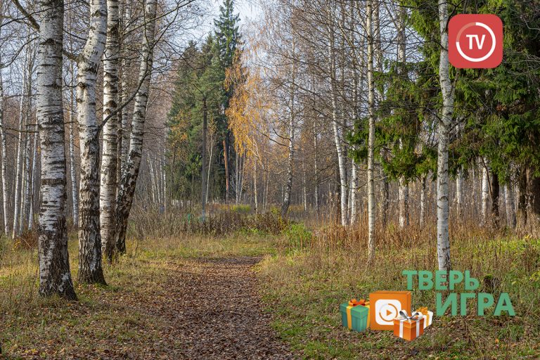 «Тверьигра», выпуск № 299: результат