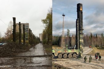 В Тверской области тополям придали вид их боевых собратьев