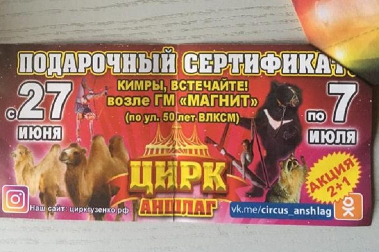 Нападение циркового медведя на дрессировщика в Карелии предсказали в Тверской области три месяца назад