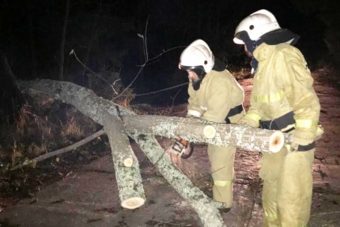 В Тверской области более ста населенных пунктов оказались обесточены из-за штормового ветра