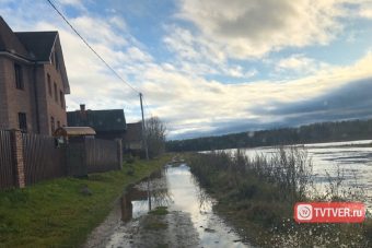 в Тверской области затопило деревню