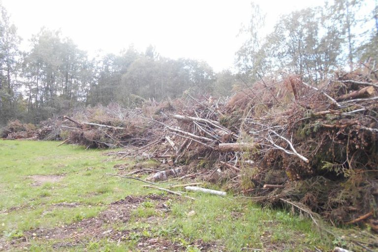 В Тверской области лесорубы завалили отходами почти гектар земли