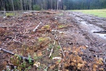 В Тверской области предприниматель нанес ущерб землям сельхозназначения