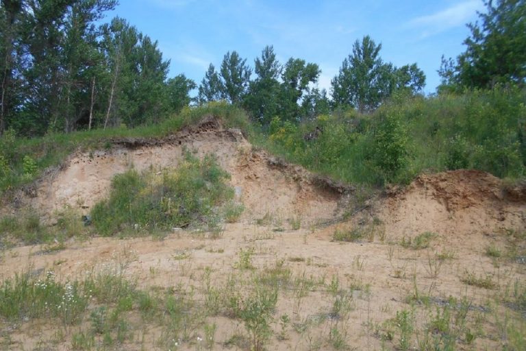 Сельхозпредприятие в Тверской области оштрафовали за неубранный мусор и незасыпанные карьеры