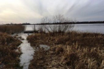 На озере в Тверской области утонул мужчина