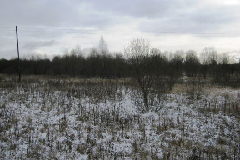 Землевладелец в Тверской области содержит в запустении более 15 гектаров сельхозугодий