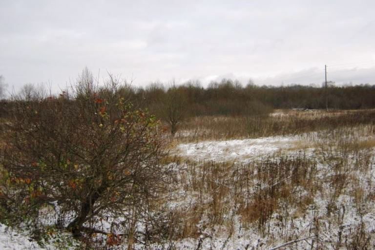 Землевладелец в Тверской области содержит в запустении более 15 гектаров сельхозугодий