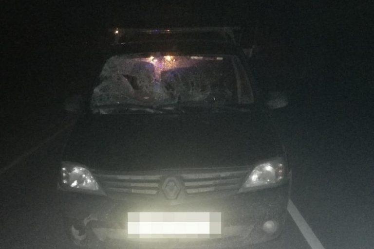 В Конаковском районе сбили нетрезвого пешехода
