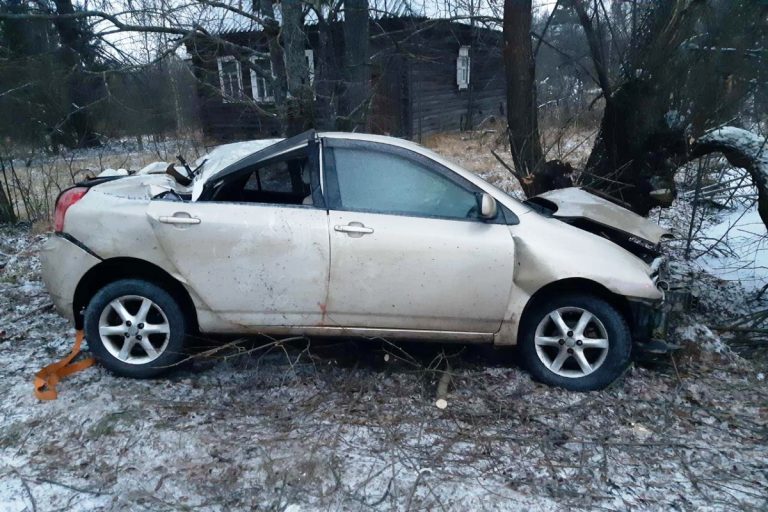 В Тверской области легковушка врезалась в дерево, водитель травмирован
