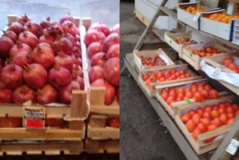 В Вышнем Волочке торговали сомнительными гранатами