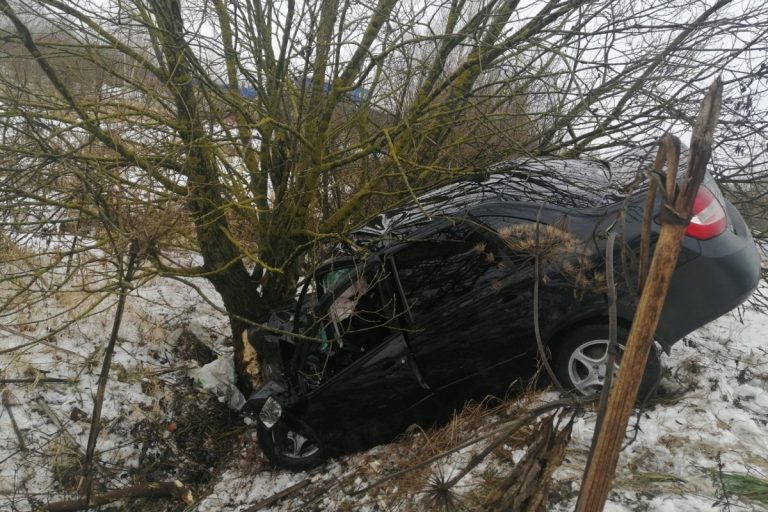 В Тверской области LADA Granta вылетела в кювет и врезалась в дерево