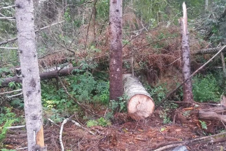 Государственная корпорация допустила загрязнение земель в Тверской области