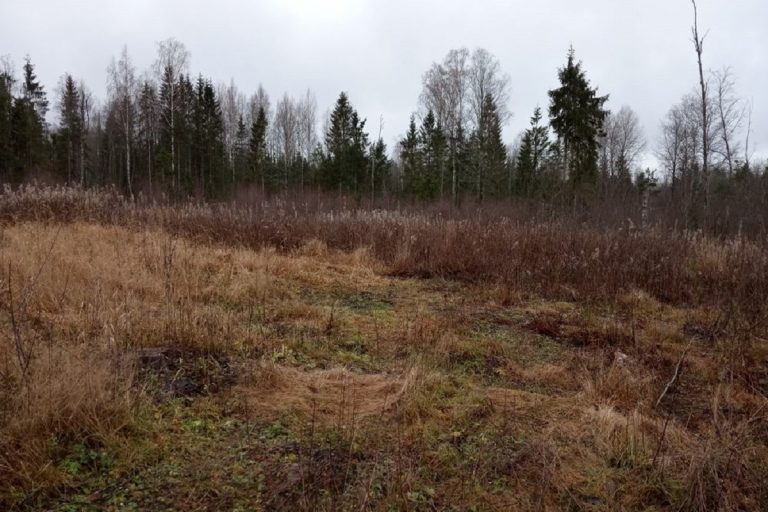 Государственная корпорация допустила загрязнение земель в Тверской области