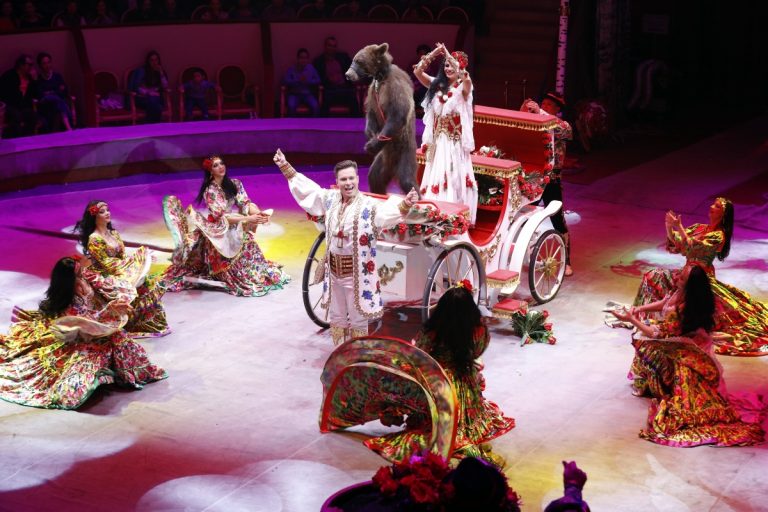 В Тверском цирке состоялась премьера программы «Новогодние приключения принцессы»