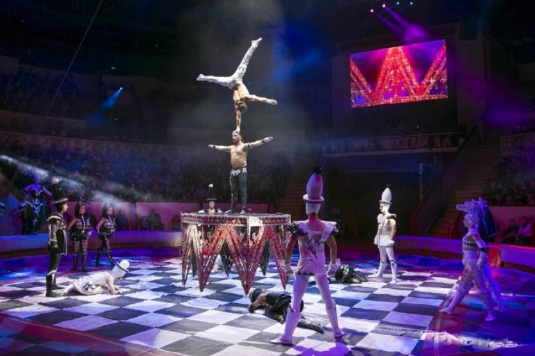 В Тверском цирке состоялась премьера программы «Новогодние приключения принцессы»
