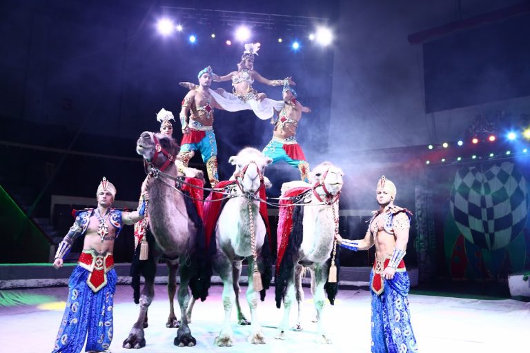 В Тверь приезжает принцесса. Новогоднее шоу Гии Эрадзе ждет всех в Тверском цирке