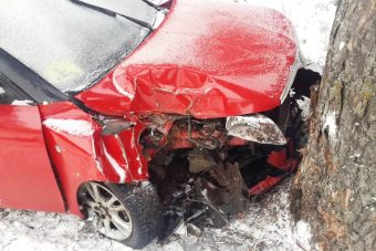 В Твери женщина-водитель отправила свою Skoda Fabia в дерево