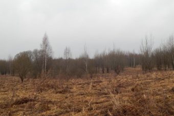 Около 900 гектаров сельхозугодий в Краснохолмском районе оказались заброшенными