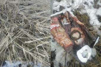 В Тверской области проснулись гадюки