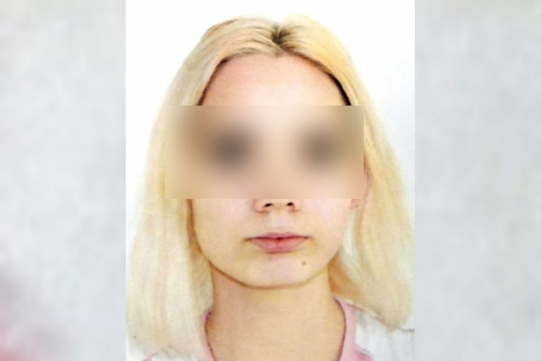 Пропавшая в Тверской области девочка вернулась домой