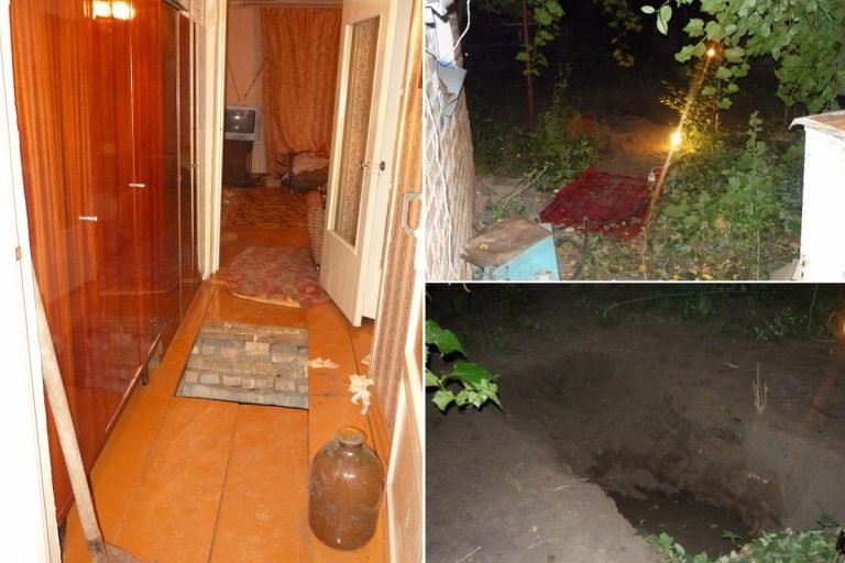 Житель Тверской области ограбил и жестоко убил женщину в Пензе