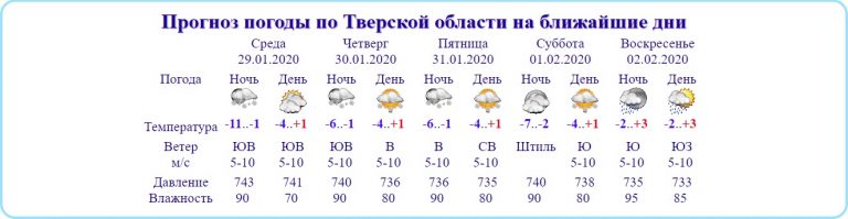 В ближайшие три дня Тверскую область будет засыпать мокрым снегом
