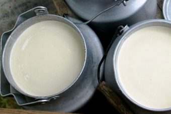В Тверской области женщина–предприниматель перевозила сотни литров сомнительного молока