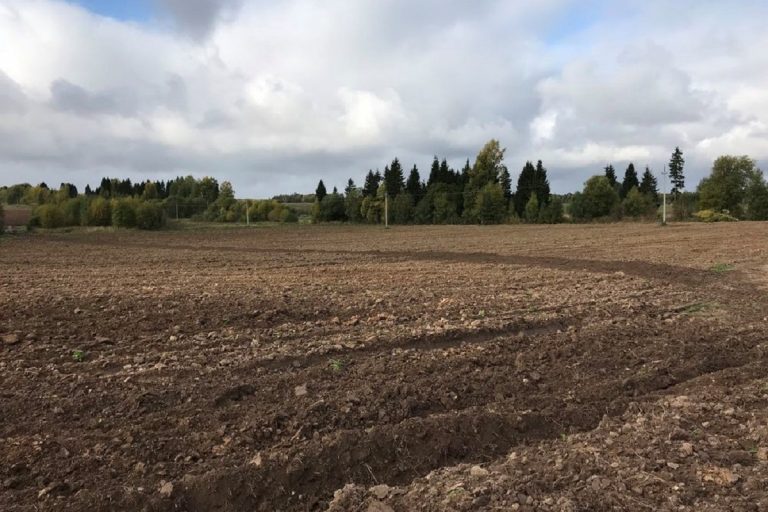 Землевладелец в Осташковском округе отказался от сельхозугодий