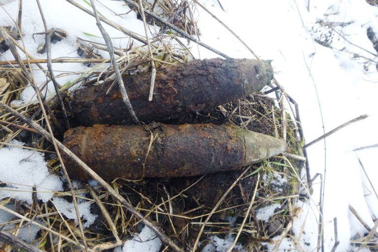 В Тверской области обезвредили снаряды и гранаты времен Великой Отечественной войны