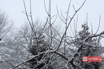 После перехода на весенне-летний режим содержания дорог на Тверь обрушился снегопад