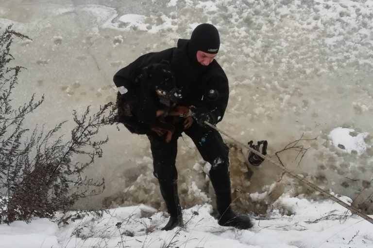 В Твери спасали собаку, выбежавшую на речной лед