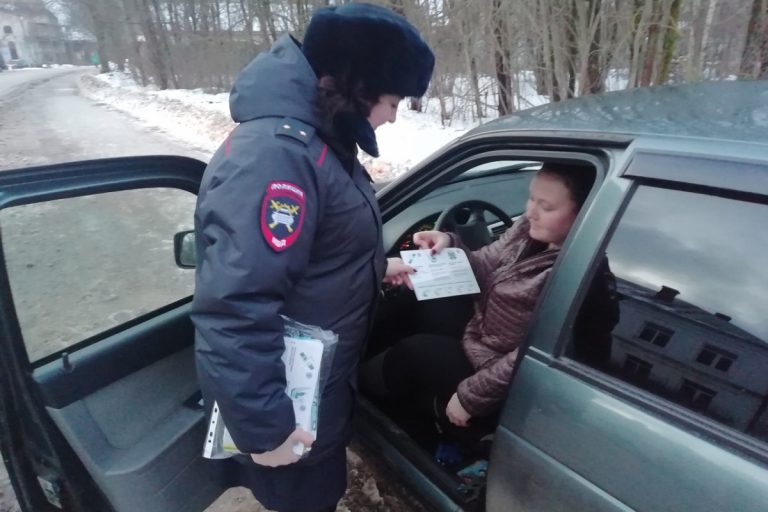 В Тверской области сотрудники ГИБДД штрафовали водителей за перевозку детей без автокресел