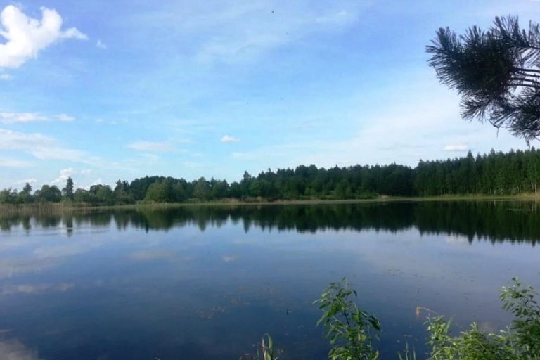 В Тверской области продают озеро с рыбой за 15 миллионов рублей