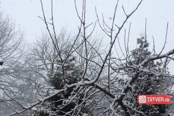 В МЧС уточнили, какие районы Тверской области засыплет снегом