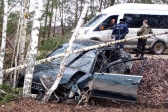 В Тверской области легковушка вылетела в кювет и врезалась в дерево