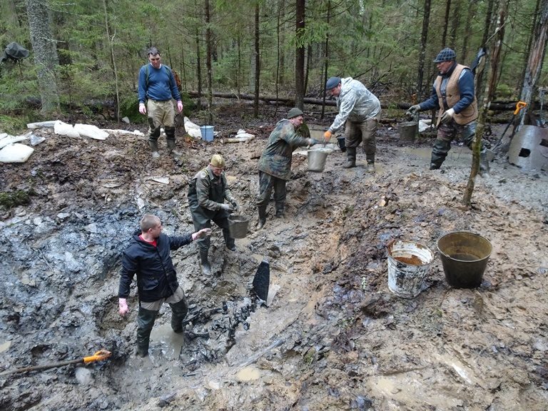 В Тверской области продолжают поиски останков пилота самолета ИЛ-2, сбитого в 1941 году