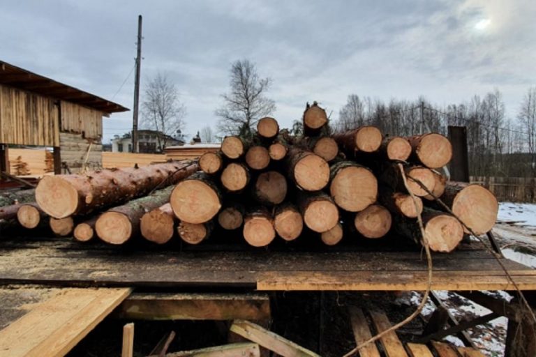 В Осташковском округе задержали "черного" лесоруба, орудовавшего в промышленных масштабах