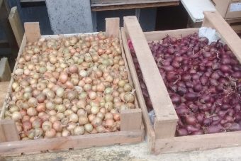 На рынке в Твери продавали лук неизвестного происхождения