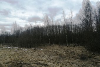 В Тверской области крупного землевладельца повторно накажут на зарастание сельхозугодий