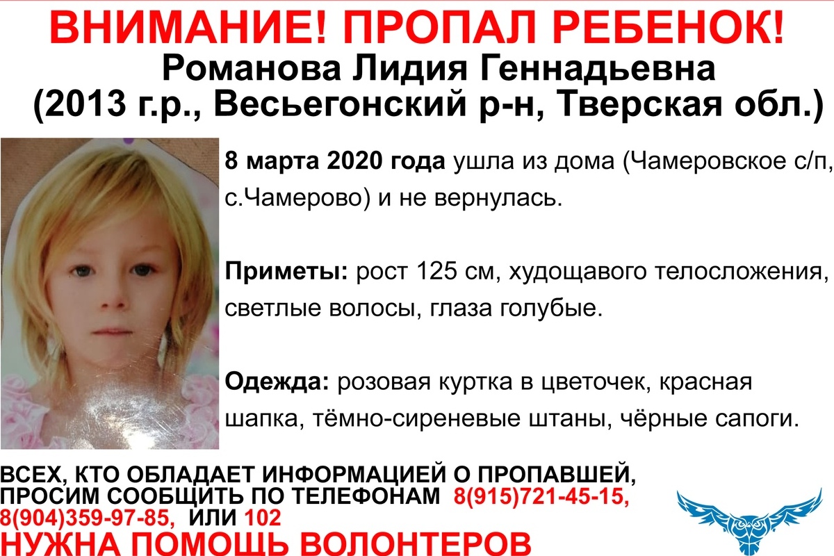 Под Весьегонском пропала 6-летняя девочка