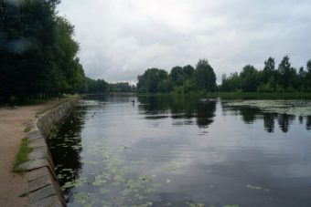 Предприятие в Тверской области сбрасывало сточные воды прямо в реку Предприятие в Тверской области сбрасывало сточные воды прямо в реку