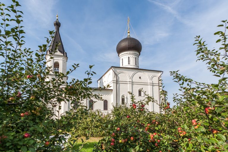 Монахини Тверского Оршин монастыря вырастили 500 яблонь для лесного питомника